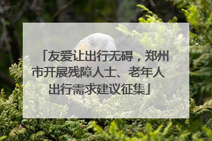友爱让出行无碍，郑州市开展残障人士、老年人出行需求建议征集