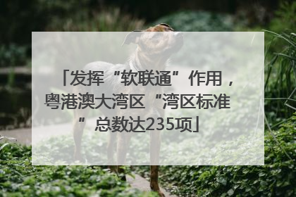发挥“软联通”作用，粤港澳大湾区“湾区标准”总数达235项