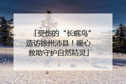 受伤的“长嘴鸟”造访徐州沛县！暖心救助守护自然精灵