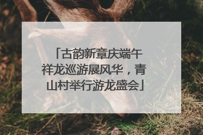 古韵新章庆端午 祥龙巡游展风华，青山村举行游龙盛会