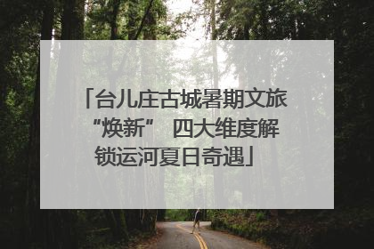 台儿庄古城暑期文旅“焕新” 四大维度解锁运河夏日奇遇