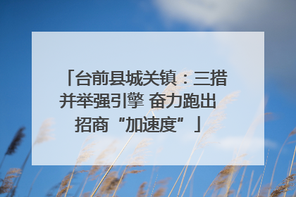 台前县城关镇：三措并举强引擎 奋力跑出招商“加速度”