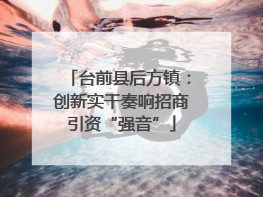 台前县后方镇：创新实干奏响招商引资“强音”