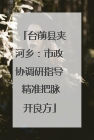 台前县夹河乡：市政协调研指导 精准把脉开良方