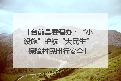 台前县委编办：“小设施”护航“大民生” 保障村民出行安全