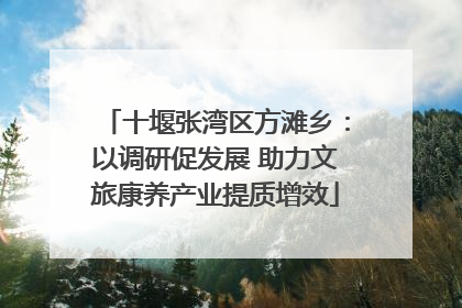 十堰张湾区方滩乡：以调研促发展 助力文旅康养产业提质增效