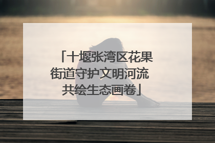 十堰张湾区花果街道守护文明河流 共绘生态画卷