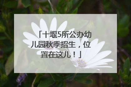 十堰5所公办幼儿园秋季招生，位置在这儿！