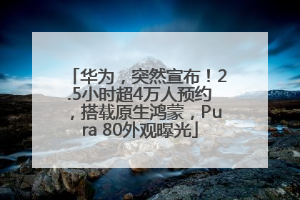 华为，突然宣布！2.5小时超4万人预约，搭载原生鸿蒙，Pura 80外观曝光