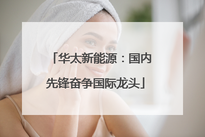 华太新能源：国内先锋奋争国际龙头
