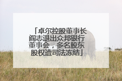 卓尔控股董事长阎志退出众邦银行董事会，多名股东股权遭司法冻结