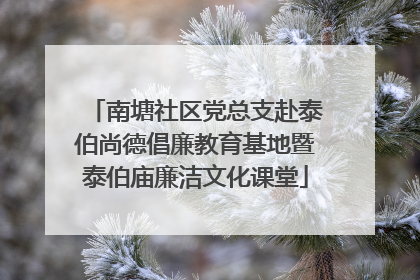 南塘社区党总支赴泰伯尚德倡廉教育基地暨泰伯庙廉洁文化课堂