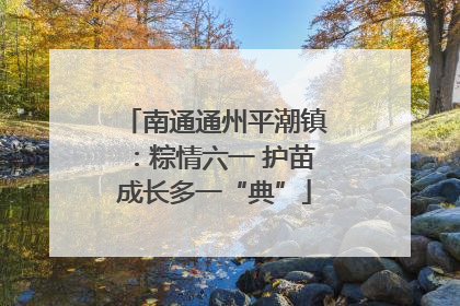 南通通州平潮镇：粽情六一 护苗成长多一“典”