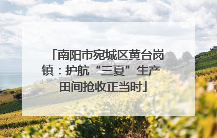 南阳市宛城区黄台岗镇：护航“三夏”生产 田间抢收正当时