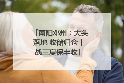 南阳邓州：大头落地 收储归仓丨战三夏保丰收