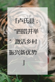 卢氏县：“四措并举”激活乡村振兴新优势