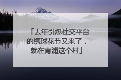 去年引爆社交平台的绣球花节又来了，就在青浦这个村