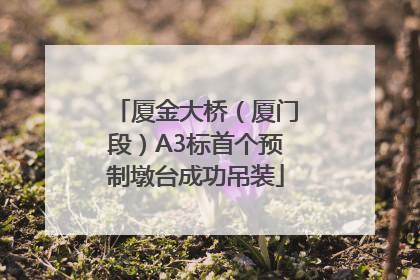 厦金大桥（厦门段）A3标首个预制墩台成功吊装