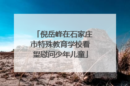 倪岳峰在石家庄市特殊教育学校看望慰问少年儿童
