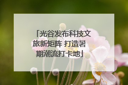 光谷发布科技文旅新矩阵 打造暑期潮流打卡地