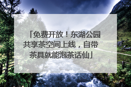 免费开放！东湖公园共享茶空间上线，自带茶具就能泡茶话仙