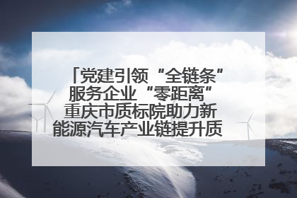 党建引领“全链条” 服务企业“零距离” 重庆市质标院助力新能源汽车产业链提升质量管理水平