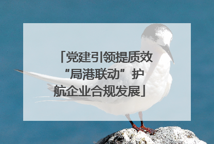 党建引领提质效 “局港联动”护航企业合规发展