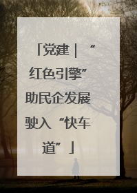 党建｜“红色引擎”助民企发展驶入“快车道”
