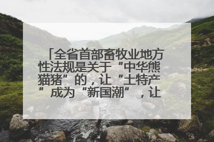 全省首部畜牧业地方性法规是关于“中华熊猫猪”的，让“土特产”成为“新国潮”，让“农产品”升格为“城市IP”