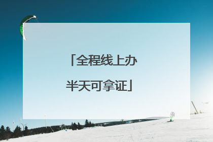全程线上办 半天可拿证
