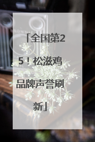 全国第25！松滋鸡品牌声誉刷新