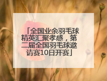全国业余羽毛球精英汇聚孝感，第二届全国羽毛球邀请赛10日开赛