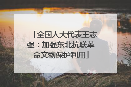 全国人大代表王志强：加强东北抗联革命文物保护利用