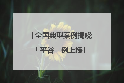 全国典型案例揭晓！平谷一例上榜