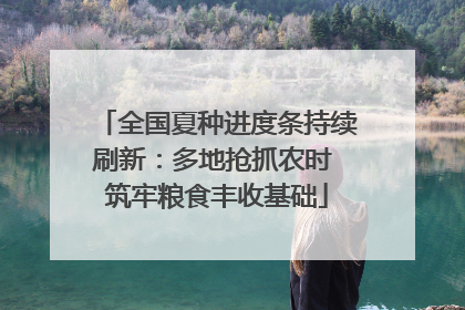 全国夏种进度条持续刷新：多地抢抓农时 筑牢粮食丰收基础