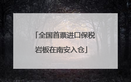 全国首票进口保税岩板在南安入仓