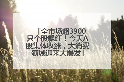 全市场超3900只个股飘红！今天A股集体收涨，大消费领域迎来大爆发