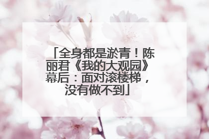 全身都是淤青！陈丽君《我的大观园》幕后：面对滚楼梯，没有做不到