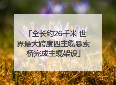 全长约26千米 世界最大跨度四主缆悬索桥完成主缆架设