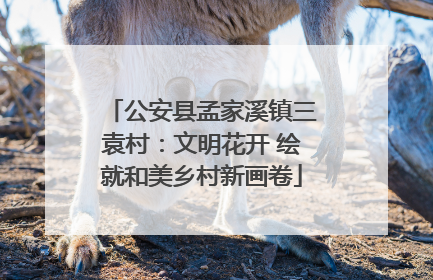 公安县孟家溪镇三袁村：文明花开 绘就和美乡村新画卷