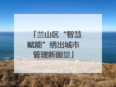 兰山区“智慧赋能”绣出城市管理新图景