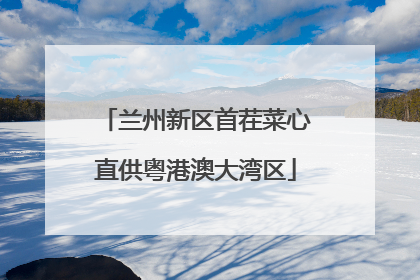 兰州新区首茬菜心直供粤港澳大湾区
