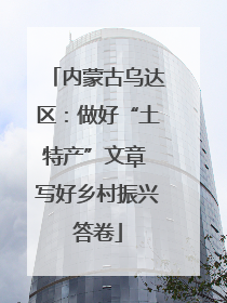 内蒙古乌达区：做好“土特产”文章 写好乡村振兴答卷