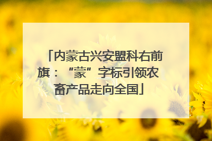 内蒙古兴安盟科右前旗：“蒙”字标引领农畜产品走向全国