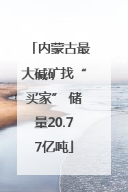 内蒙古最大碱矿找“买家” 储量20.77亿吨