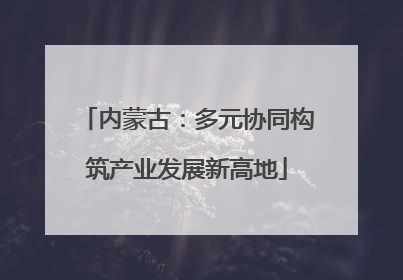 内蒙古：多元协同构筑产业发展新高地