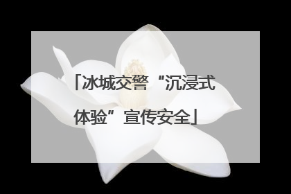 冰城交警“沉浸式体验”宣传安全