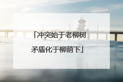 冲突始于老柳树 矛盾化于柳荫下