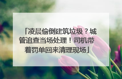 凌晨偷倒建筑垃圾？城管追查当场处理！司机带着罚单回来清理现场