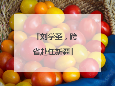 刘学圣，跨省赴任新疆